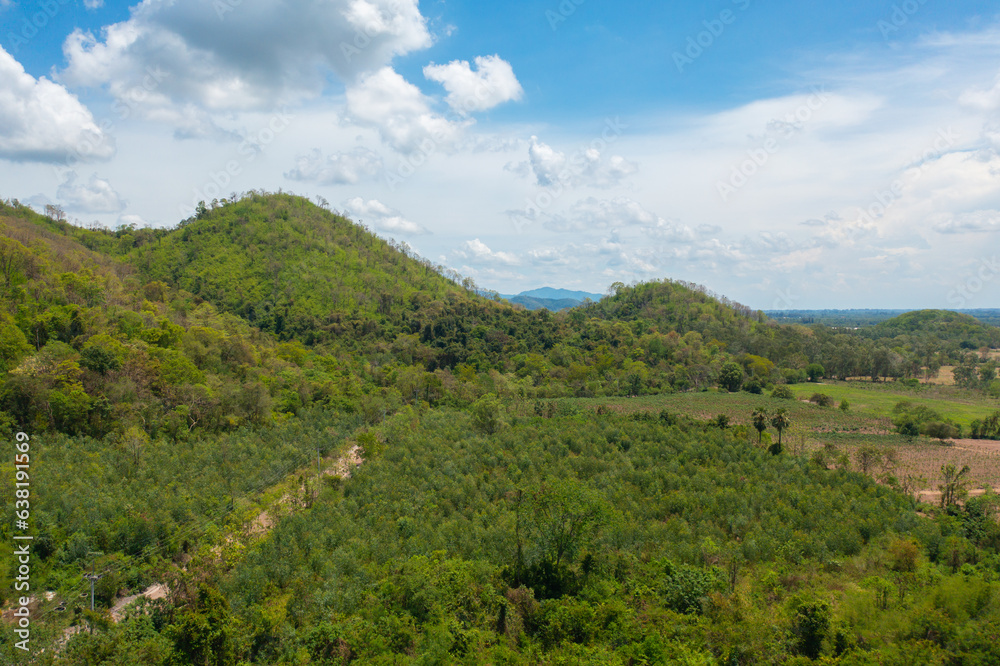 Fototapeta premium Aerial top view of lush green trees from above in tropical forest in national park in summer season. Natural landscape. Pattern texture background.
