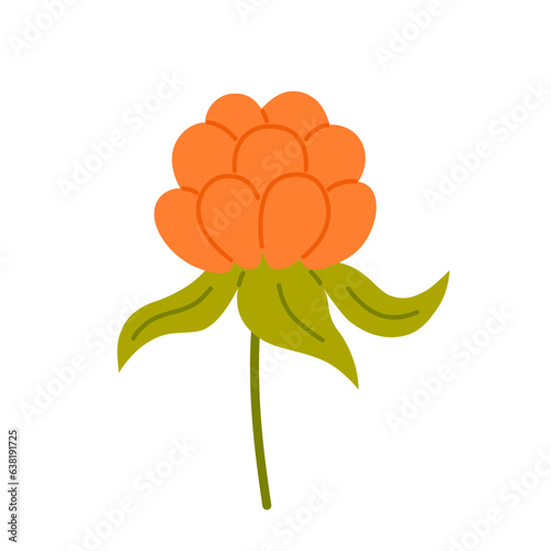 Orange cloudberry berry. Flat vector illustration isolated on white background.