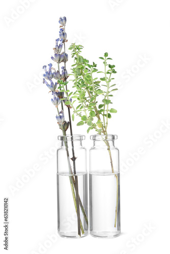 Bottles with essential oils, lavender and thyme isolated on white