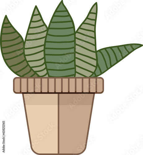 cereus cactus in a pot
