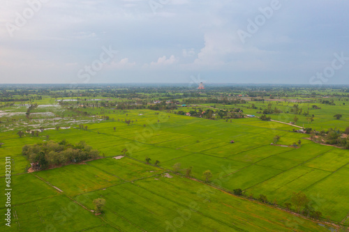 Aerial top view of fresh paddy rice  green agricultural fields in countryside or rural area in Asia  Thailand. Nature landscape