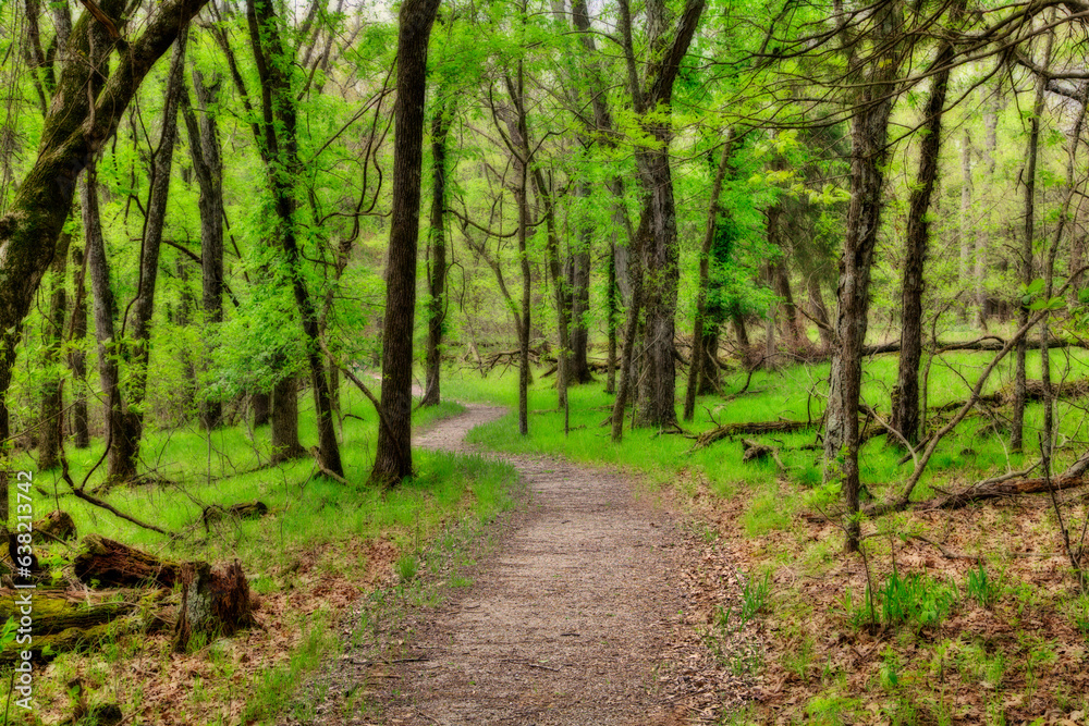 Fawn Ridge Trail. Lake of the Ozark State Park . A trail through the woods makes for an enjoyable walk. Fawn Ridge Trail. Lake of the Ozark State Park . A trail through the woods makes for an enjoyable walk.