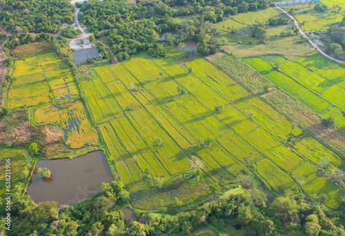 Aerial top view of fresh paddy rice, green agricultural fields in countryside or rural area in Asia, Thailand. Nature landscape