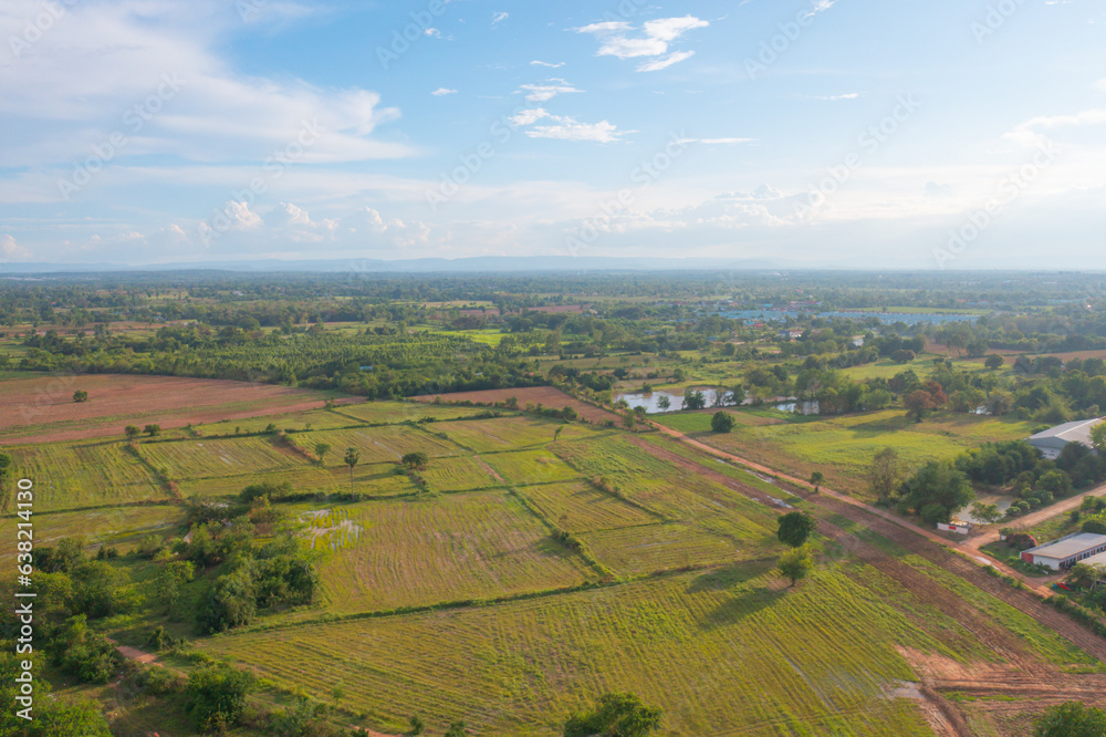 Aerial top view of fresh paddy rice, green agricultural fields in countryside or rural area in Asia, Thailand. Nature landscape