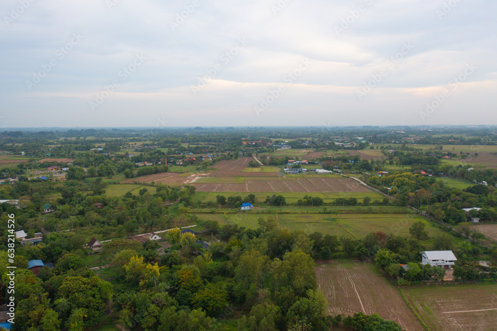 Fototapeta premium Aerial top view of fresh paddy rice, green agricultural fields in countryside or rural area in Asia, Thailand. Nature landscape