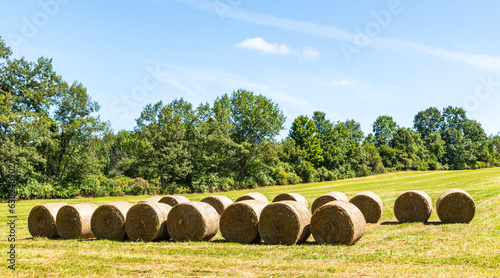 Round bales of hay lined up in a farmer's field in Pine Grove Township, Pennsylvania, USA on a sunny summer day photo