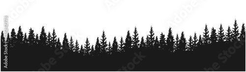Spruce fir forests  pine tree silhouettes
