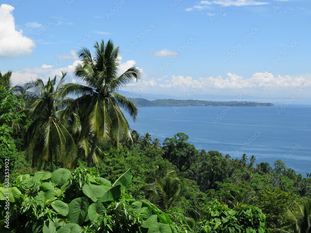 Tropical landscape with trees and clouds. View of palm trees in the jungle by the sea on a clear day. Tropical island with tropical rainforest.