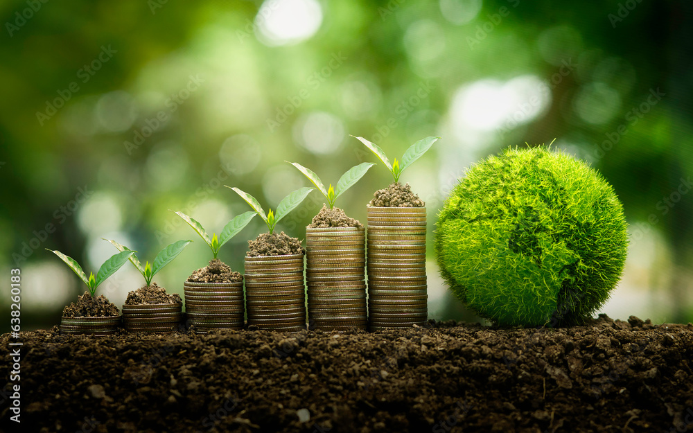green business Coin piles and seedlings concepts are growing on top, finance and investing in sustainability and carbon credits using renewable energy can limit climate change. - obrazy, fototapety, plakaty 