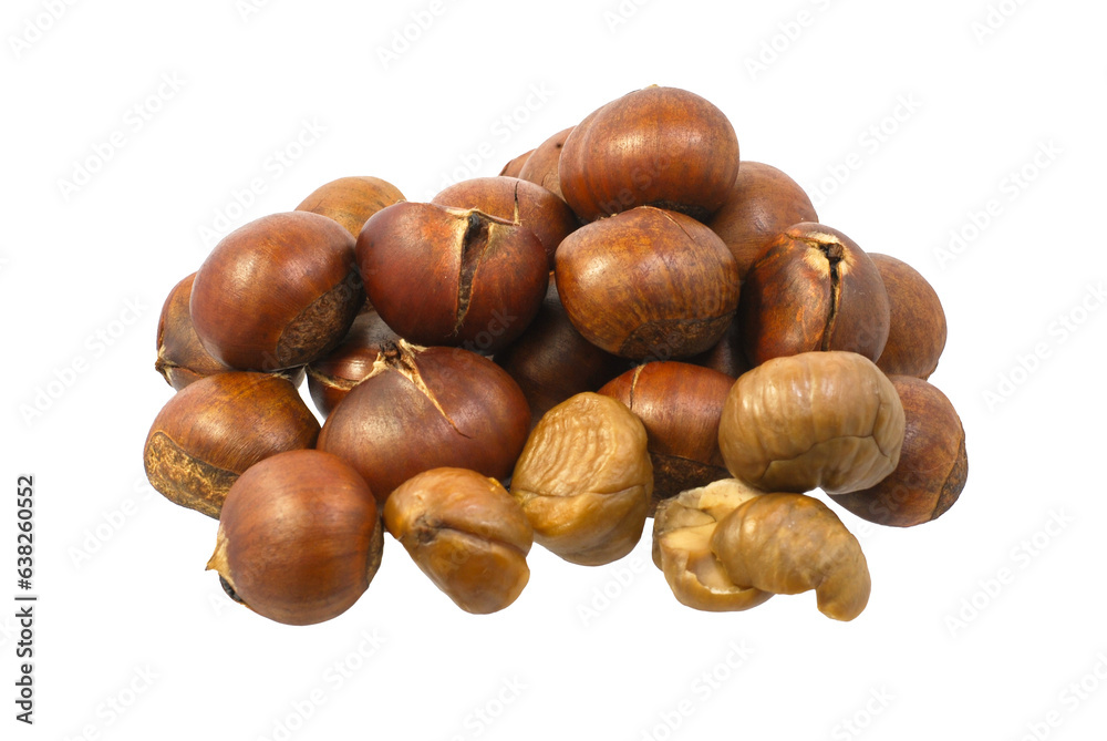 chestnut isolated on white background