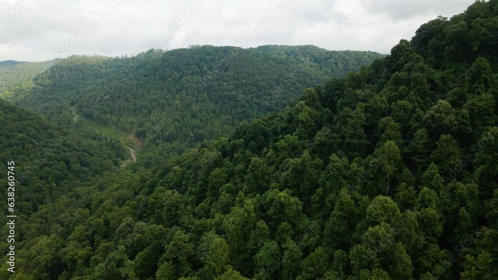 West Virginia Mountains in Appalachian Mountain Range  Ascending Aerial View