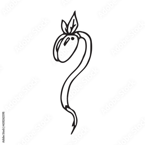 black and white bean sprout cartoon object on white background, vector doodle art
