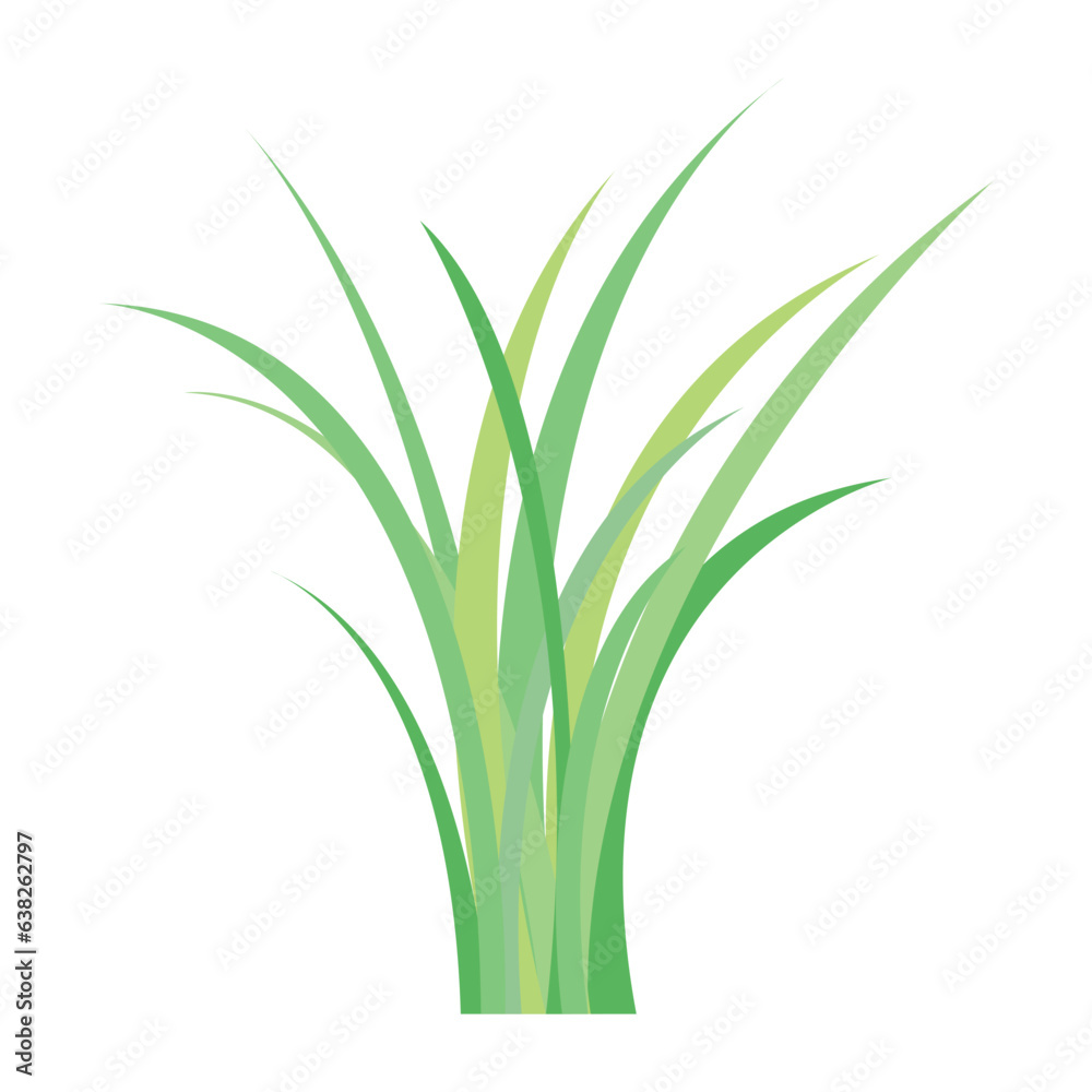 colorful green grass object on white background, vector illustration