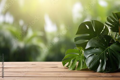 Empty table with monstera leaves  rainforest background