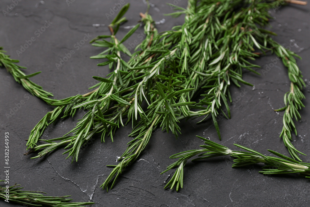 Twigs of fresh rosemary on dark background, closeup Twigs of fresh rosemary on dark background, closeup