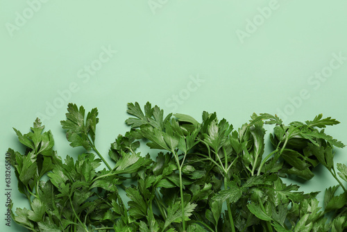 Fresh aromatic parsley on color background  closeup