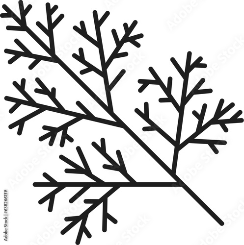Dill seasoning herb condiment isolated outline icon. Vector perennial plant, annual herb, flavoring spicy fennel branch, thin line
