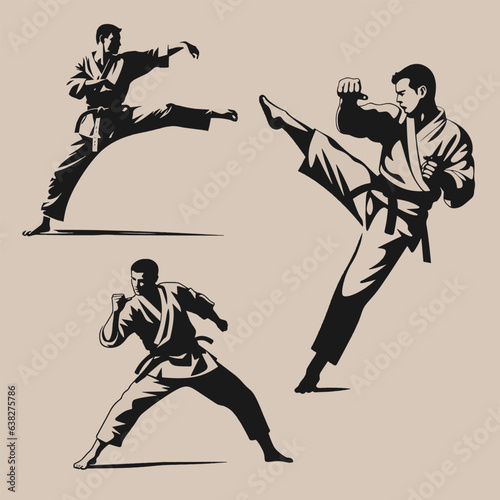 Martial art karate pose fight