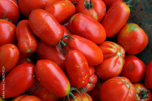 Different type of ripe red Tomatoes. Harvesting tometoes on summer  © saratm