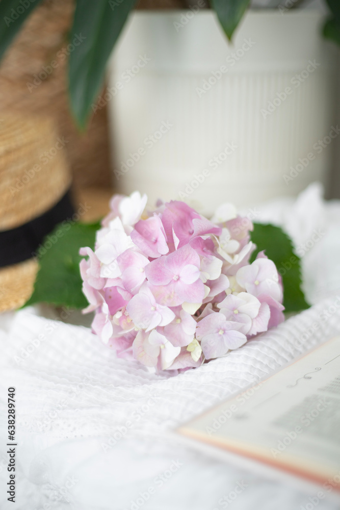 A book on which a branch of pink hydrangea lies