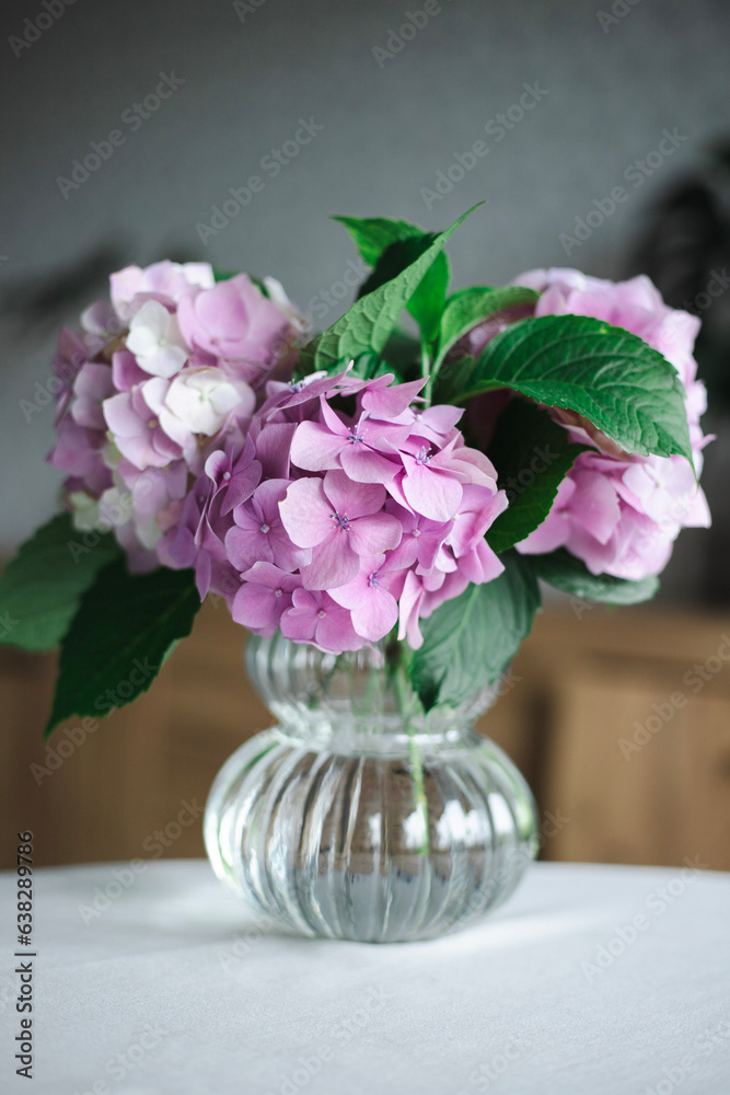 Pink hydrangea flowers in a vase on the background of a home interior Pink hydrangea flowers in a vase on the background of a home interior