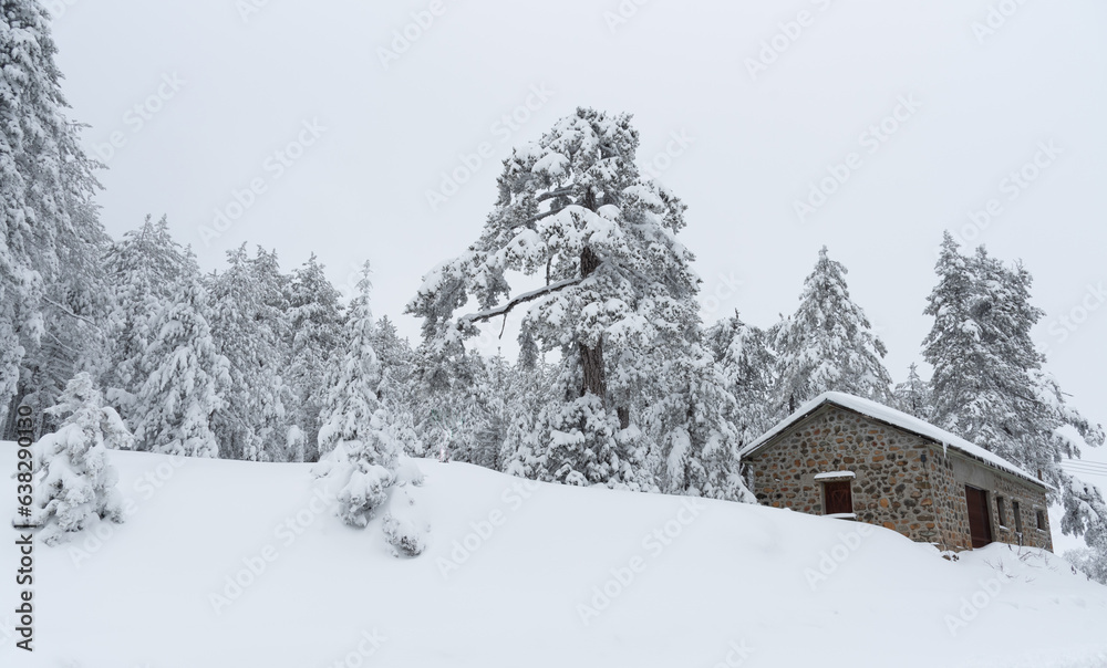 Naklejka premium Snowy forest landscape with holiday chalet covered in snow. wintertime in the mountain