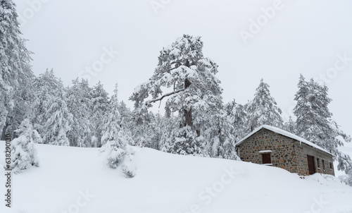  Snowy forest landscape with holiday chalet covered in snow. wintertime in the mountain