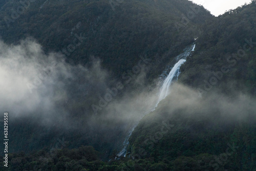 rain in the fog