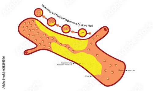 Blood Flow Vector Illustration Design