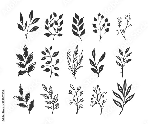 Set of branches with leaves. Collection of decorative floral elements. Natural herbs. Line Art. Vector illustration of botanical design  