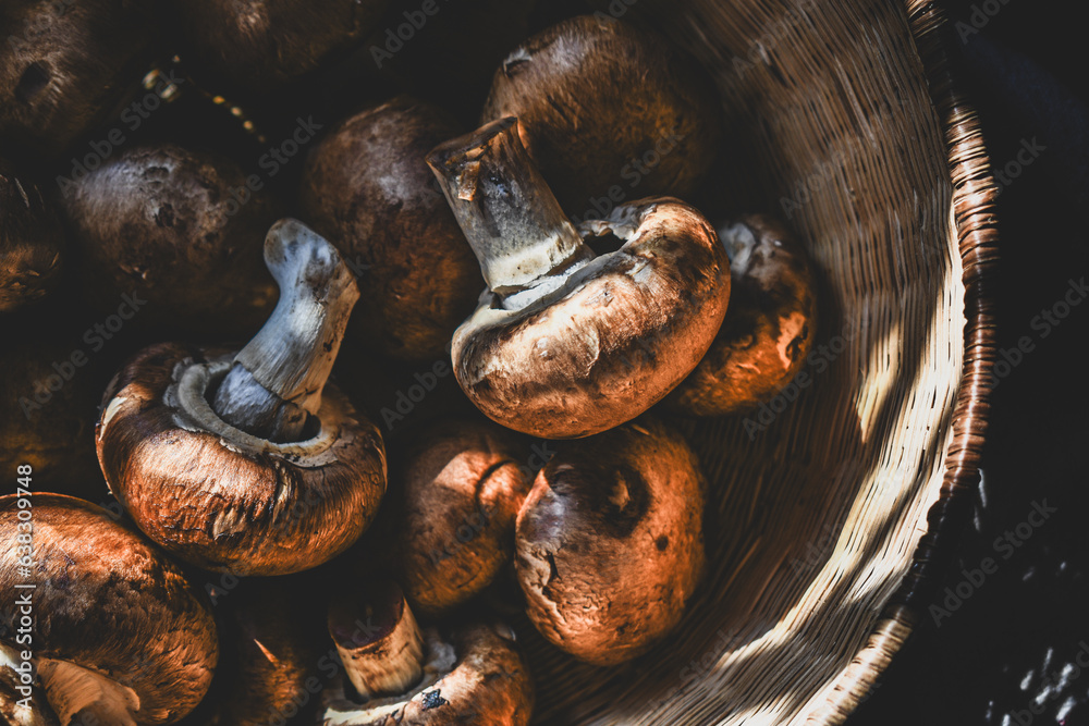 fresh edible portobello mushrooms in a basket. fresh edible portobello mushrooms in a basket.