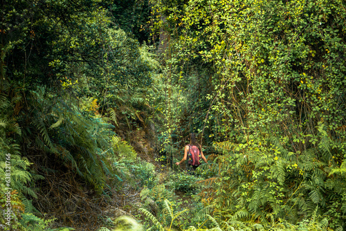 person walking in the jungle