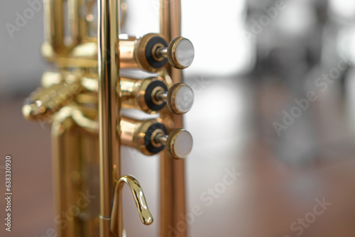 Canvas Print Close-up of musical instrument buttons BRASS INSTRUMENT