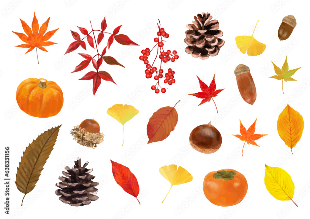 Aautumn plant material Aautumn plant material