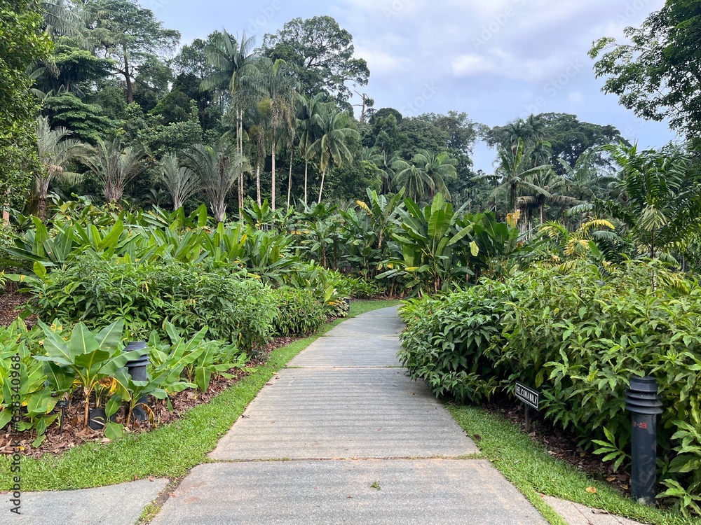 Singapore Botanic Gardens (world heritage)