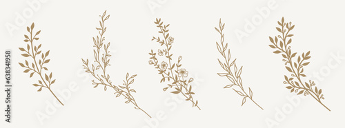 Hand drawn floral botanical lines and silhouettes of branches, leaves and flowers. Trendy minimal elements of wild and garden plants. Vector illustration for logo or tattoo, invitation, save the date