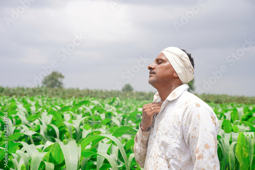 The farmer is passing through the corn field. The man is walking between the rows of maize and touching the green leaves. Concept of harvest time. Agronomists are inspecting vegetable gardens