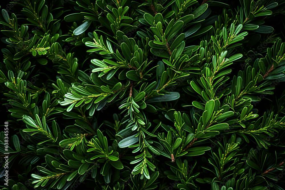 Lush Evergreen Branches Creating a Vibrant Christmas Tree Background , Christmas tree branches background, top view Generative AI Lush Evergreen Branches Creating a Vibrant Christmas Tree Background , Christmas tree branches background, top view Generative AI