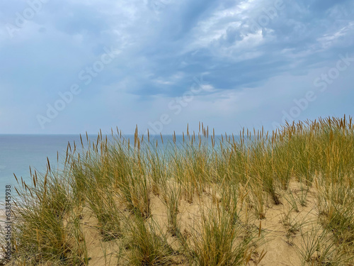 Stunning view of sandy dunes with beach grass Ammophila breviligulata and North Sea coast beach landscape on island Sylt in Germany photo