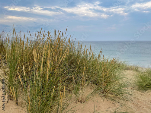 Stunning view of sandy dunes with beach grass Ammophila breviligulata and North Sea coast beach landscape on island Sylt in Germany photo