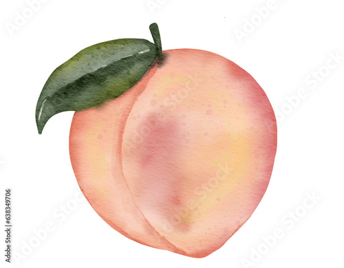 Wallpaper Mural peach fruit   watercolor illustration isolated element Torontodigital.ca