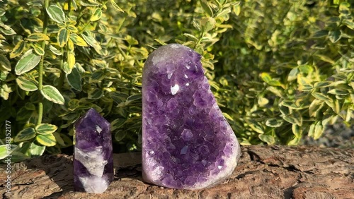 Purple amethyst crystal geode and amethyst point. Beautiful sparkling gemstones on wood, green plant outdoor background with copy space.