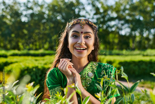 cheerful and pretty young indian woman in sari looking at camera near plants in park