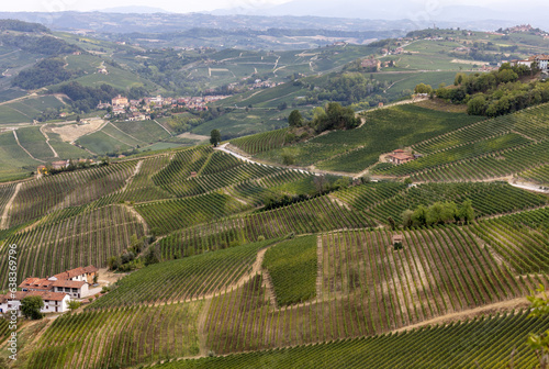 Langhe vineyards near Barolo and La Morra, Unesco Site, Piedmont, Italy
