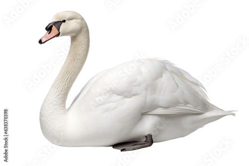 White Swan On Transparent Background - Generative AI