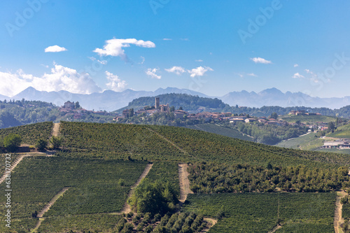 View of Langhe vineyards from Grinzane Cavour. UNESCO Site, Piedmont, Italy photo