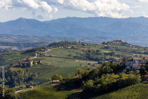 View of Langhe vineyards from La Morra, UNESCO Site, Piedmont, Italy