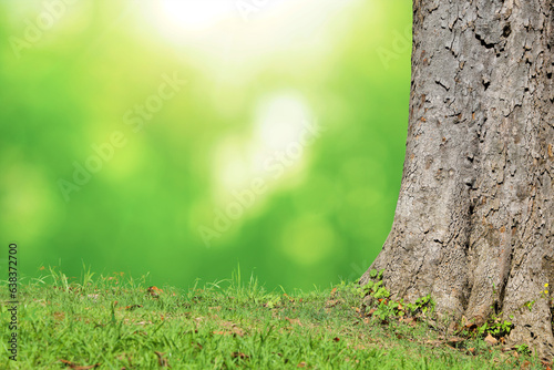 fresh Green grass natural blurred background. springtime season. Beautiful landscape in green grass meadow field. public park. spring time season. tree trunk in forest. new life. beauty in nature