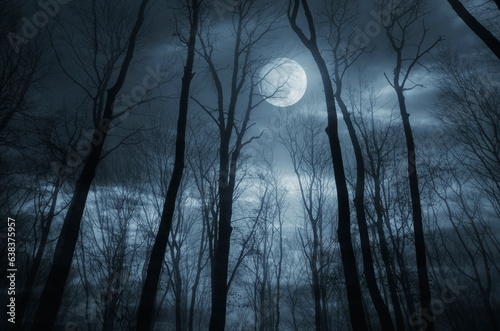 night in the woods under full moon, dark fantasy halloween background © andreiuc88