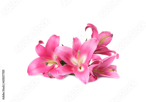 Beautiful pink lily flowers isolated on white © New Africa